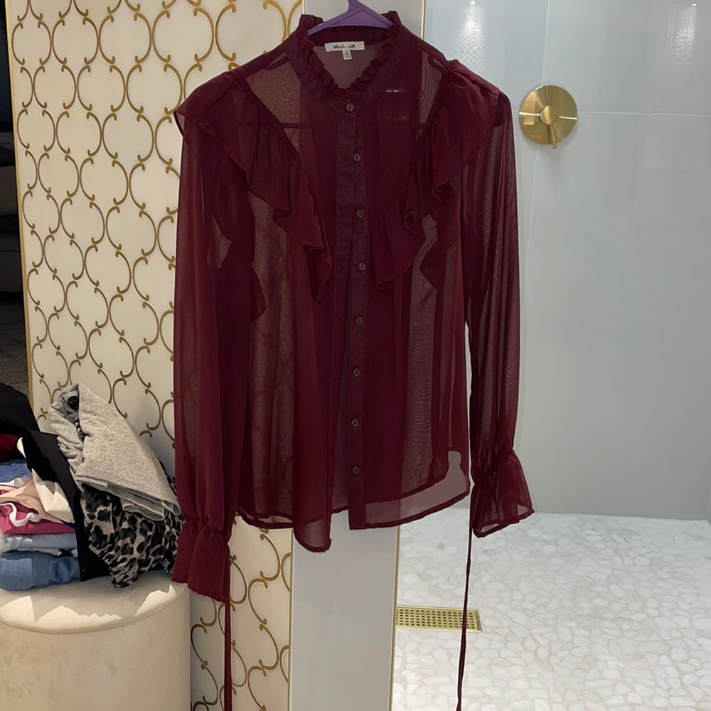 Sheer Wine Blouse